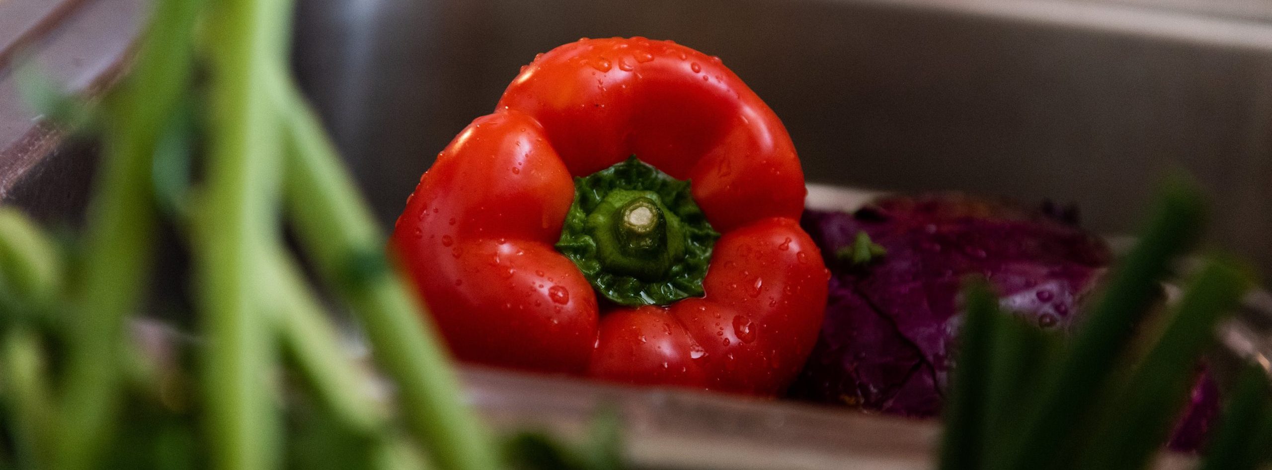 Nutrition and Wellness Services » Acupuncture Clinic of Fort Collins